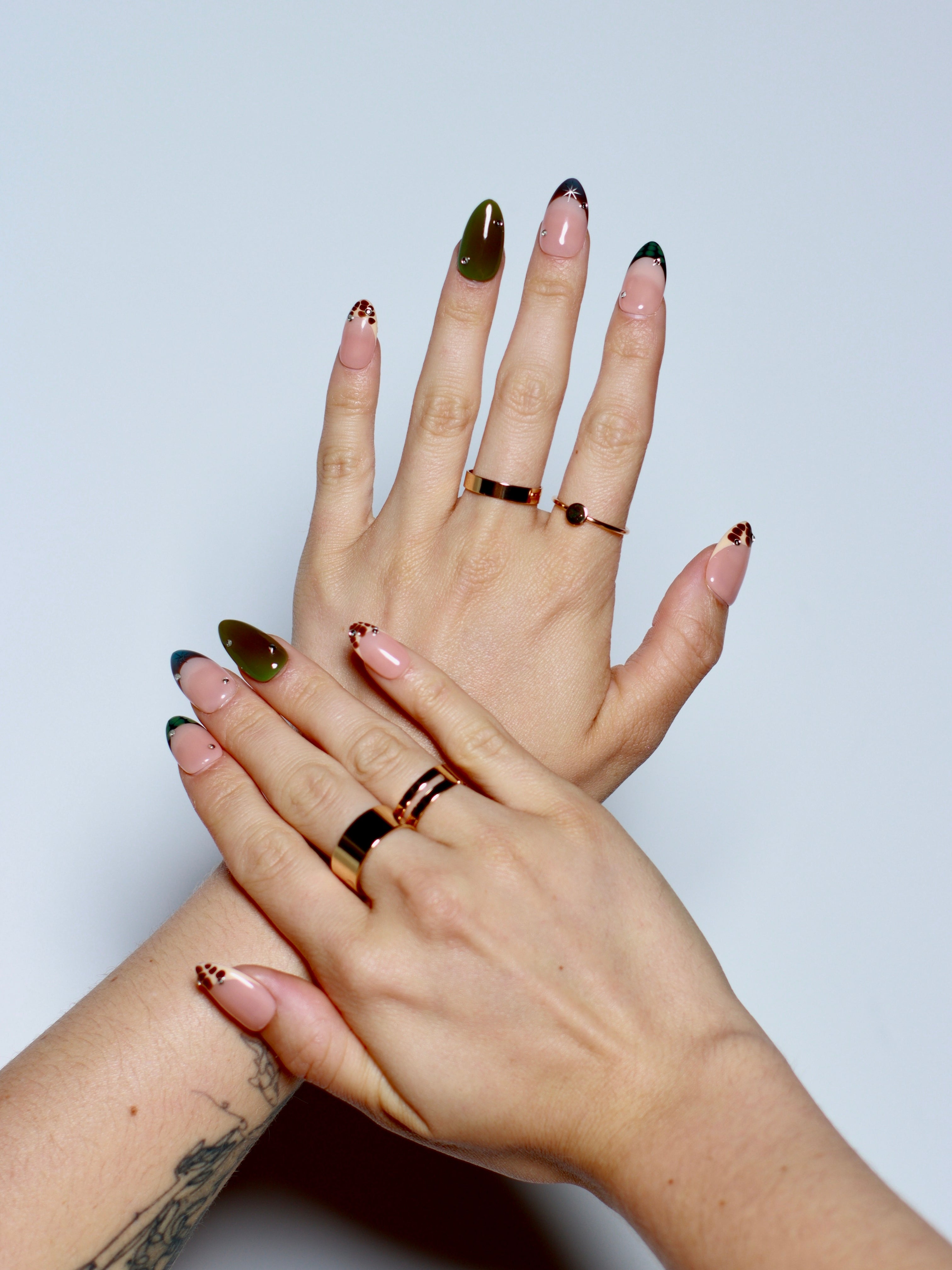 OLIVE SPICE